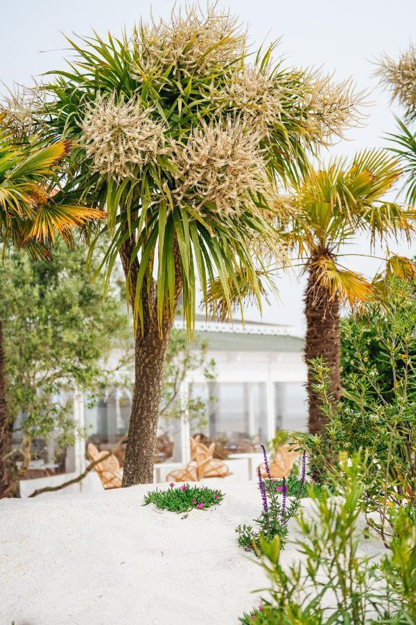 Hotel Le Noirmoutier Barbâtre Eksteriør billede